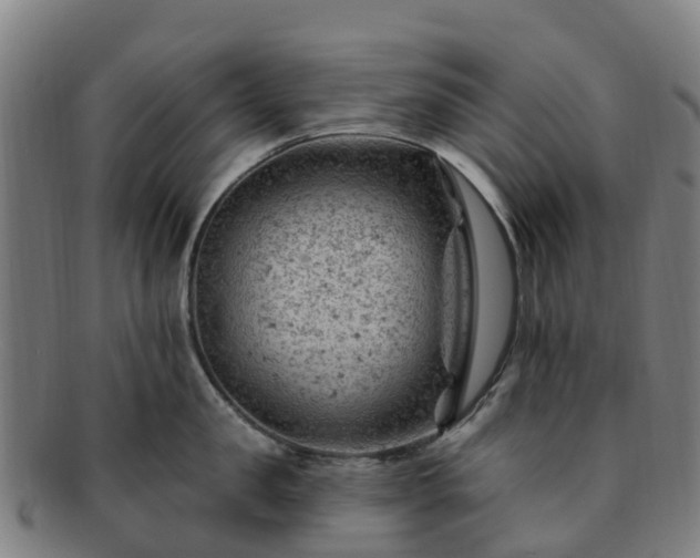 X0000091730957200708311159