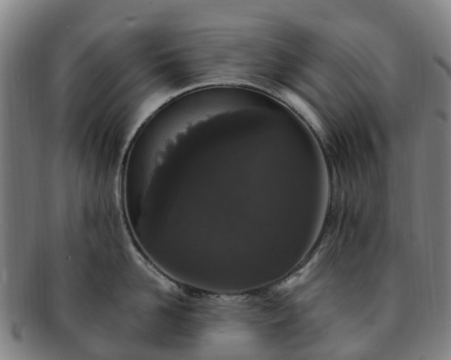 X0000091730958200708311159