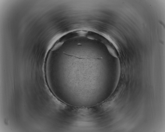 X0000091730959200708311159