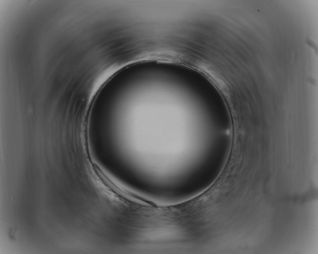 X0000091730960200708311159