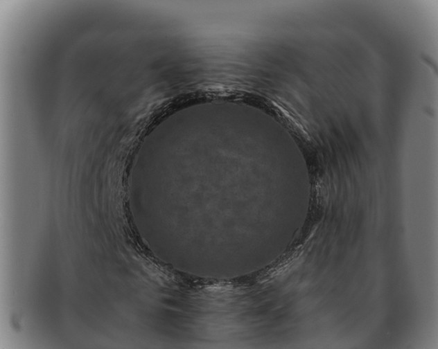 X0000091730961200708311158