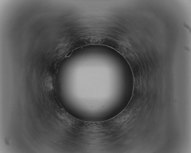 X0000091730962200708311158
