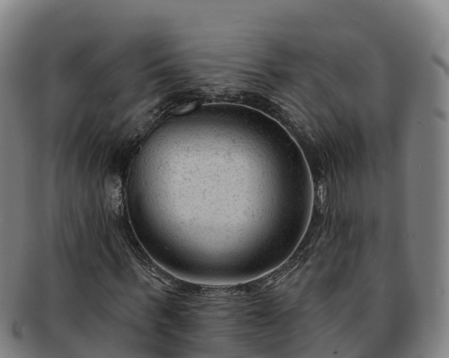 X0000091730963200708311158