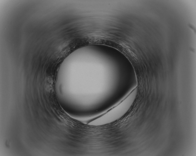 X0000091730964200708311158