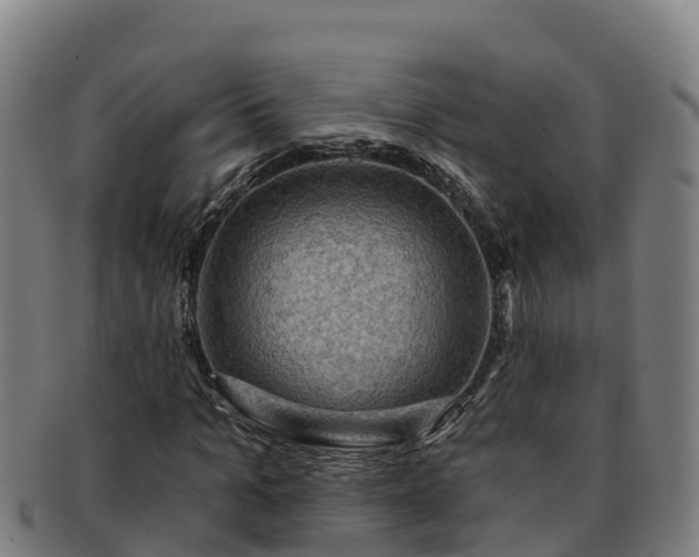 X0000091730965200708311158