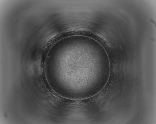 X0000091730966200708311158