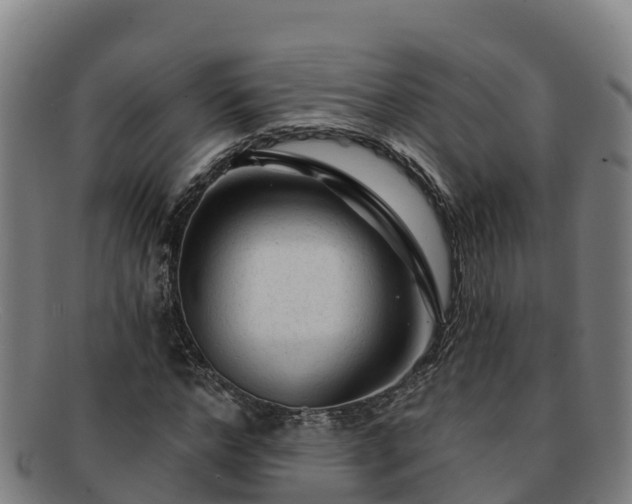 X0000091730968200708311158