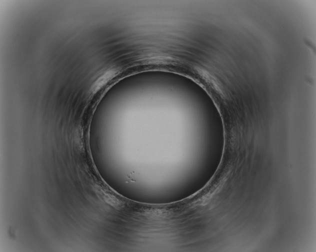 X0000091730970200708311158