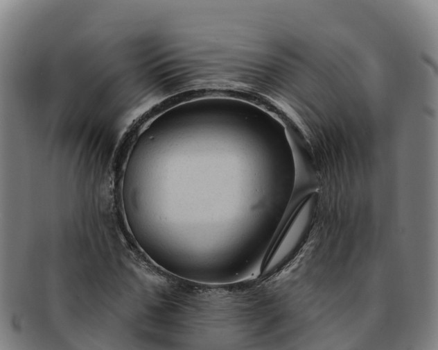 X0000091730971200708311158