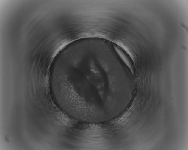 X0000091730975200708311158
