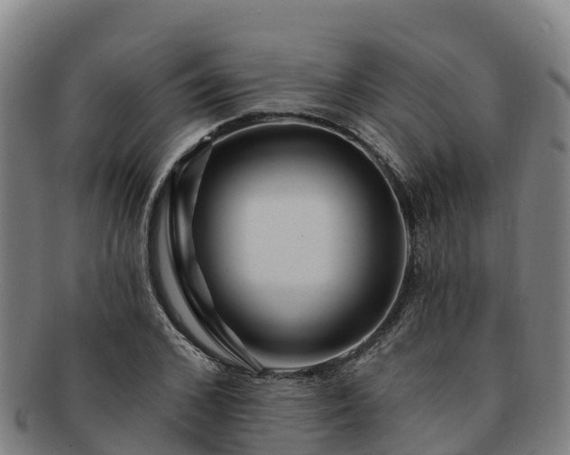 X0000091730976200708311158