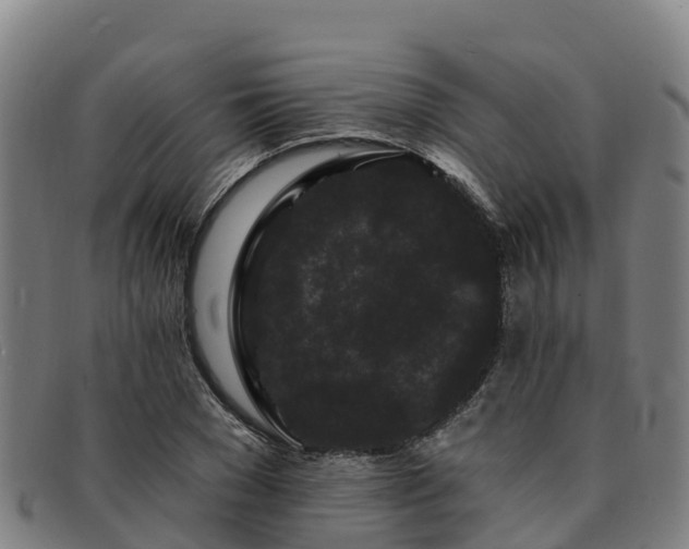 X0000091730977200708311158