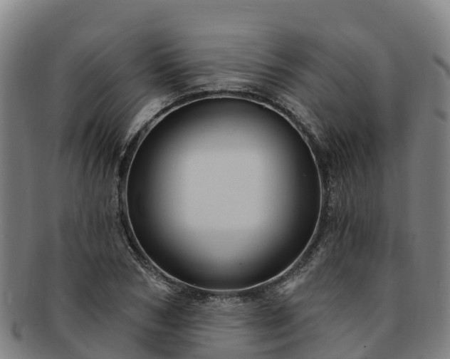X0000091730978200708311158