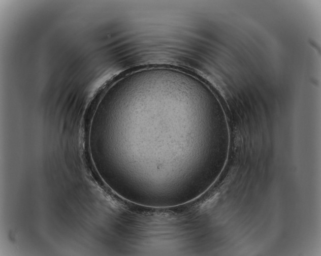 X0000091730979200708311158