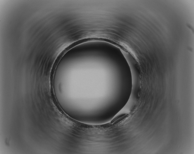 X0000091730980200708311158