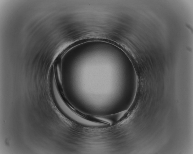 X0000091730981200708311157