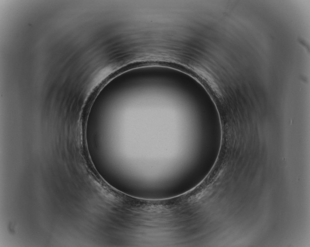 X0000091730982200708311157