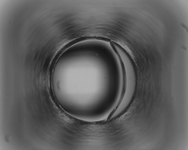X0000091730984200708311157