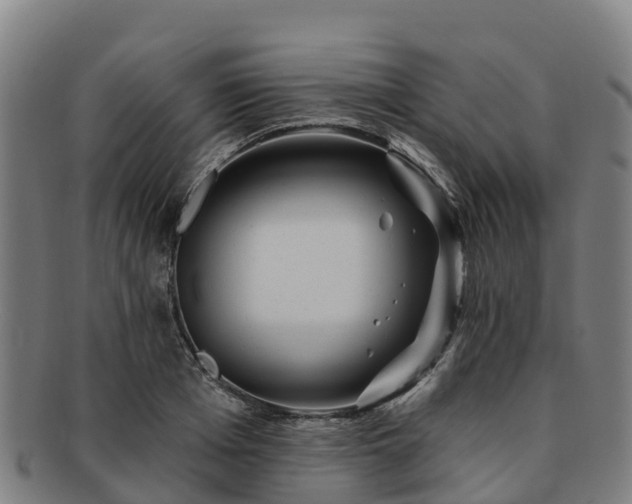 X0000091730985200708311157