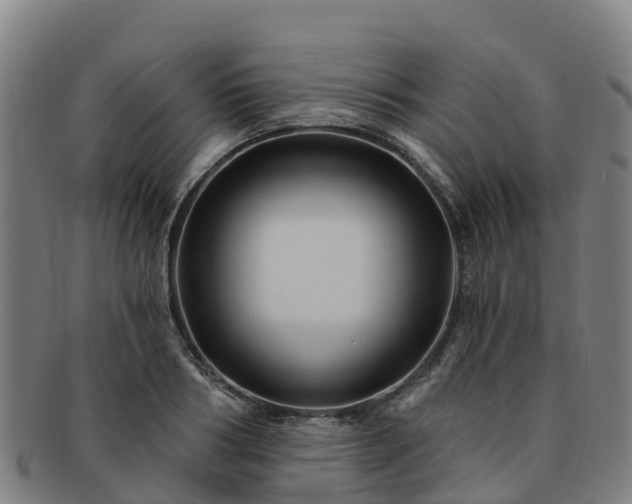 X0000091730986200708311157