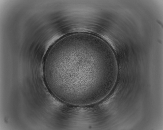 X0000091730987200708311157