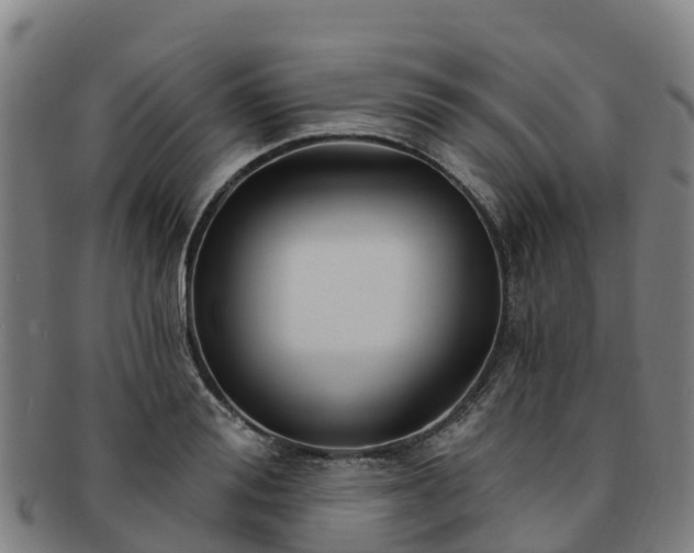 X0000091730988200708311157