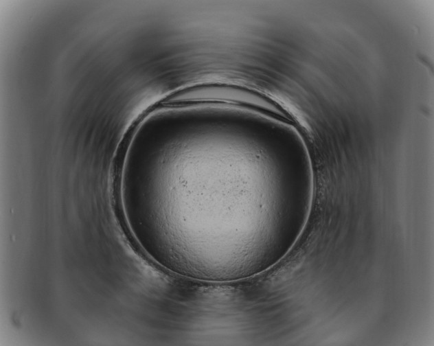 X0000091730991200708311157