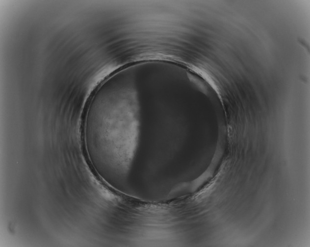 X0000091730995200708311157