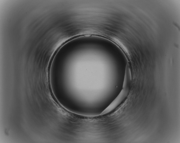 X0000091730996200708311157