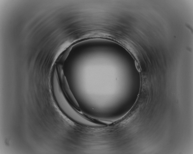 X0000091730997200708311157