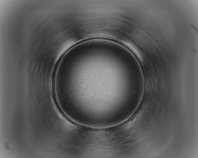 X0000091730999200708311157