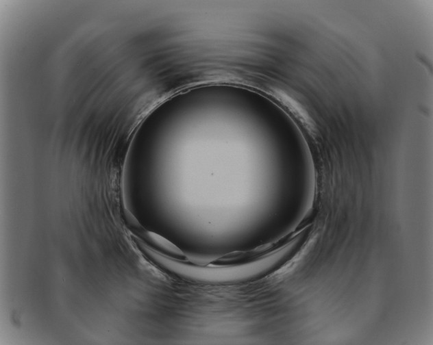 X0000091731001200708311157
