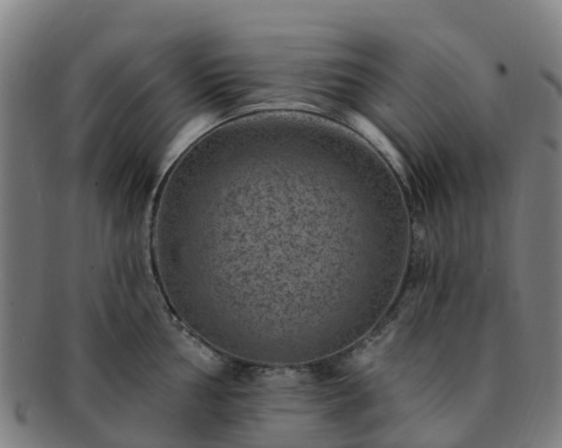 X0000091731002200708311157