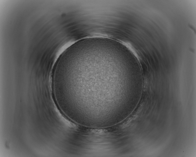 X0000091731003200708311157