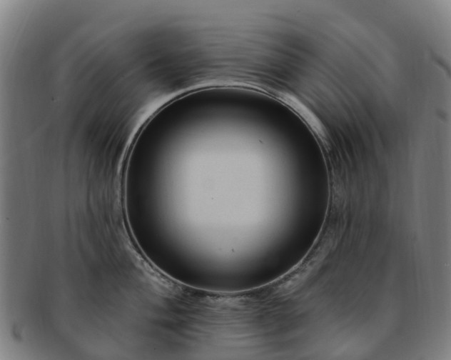 X0000091731004200708311157