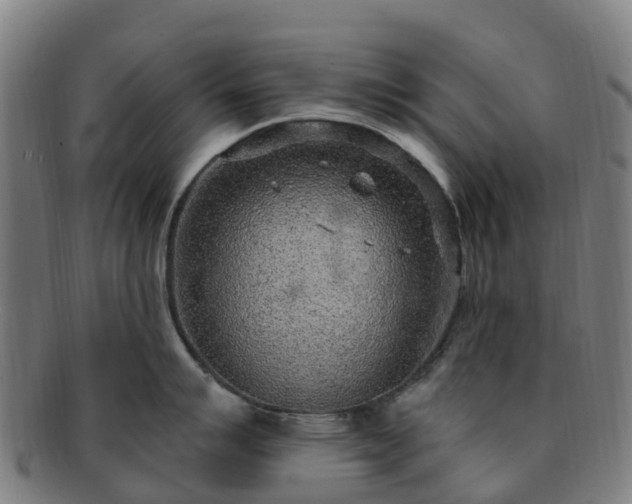 X0000091731007200708311157