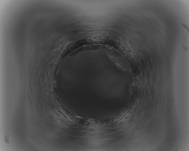 X0000091731009200708311156