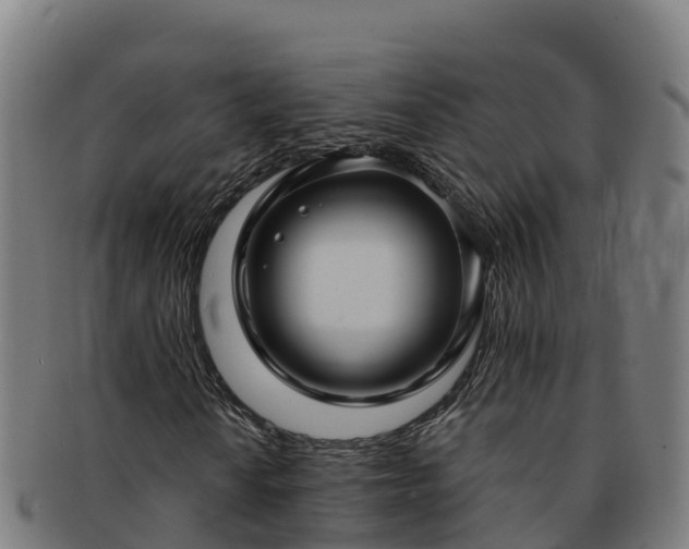 X0000091731010200708311156