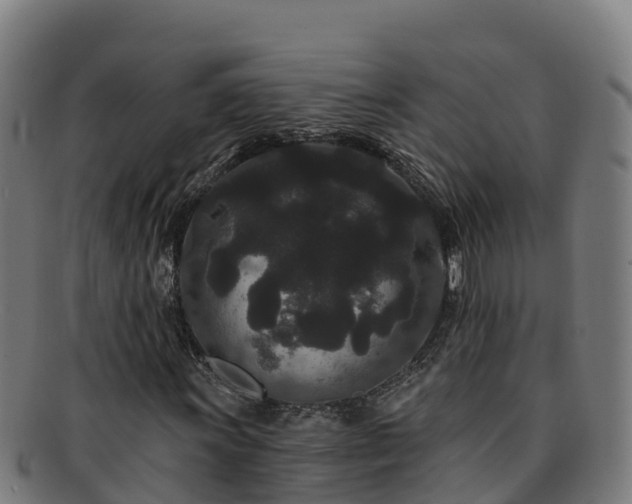 X0000091731011200708311156
