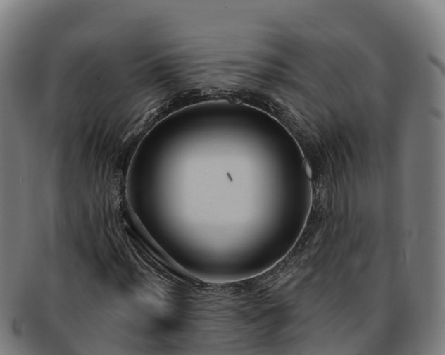 X0000091731012200708311157
