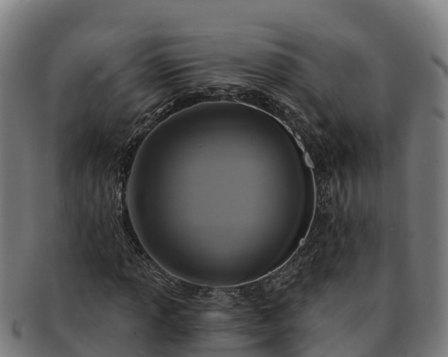X0000091731013200708311157