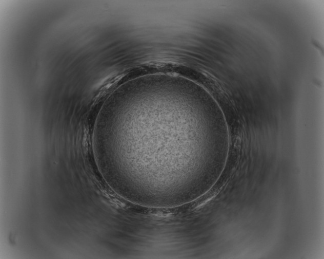 X0000091731014200708311157
