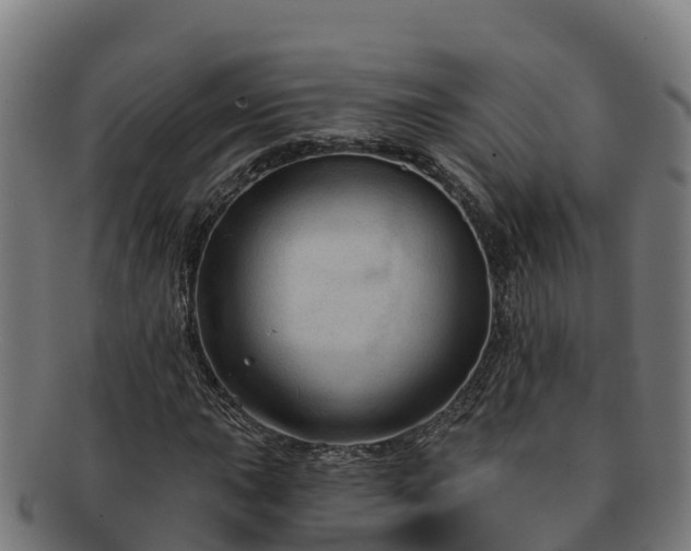 X0000091731015200708311157