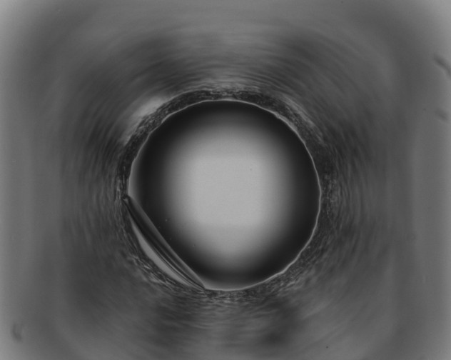 X0000091731016200708311157
