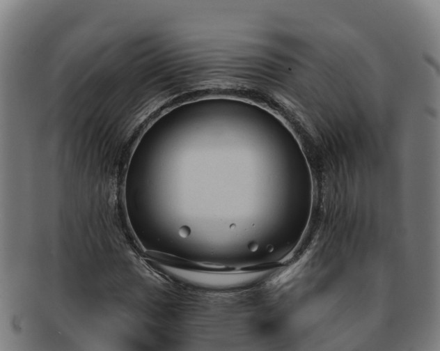 X0000091731017200708311157