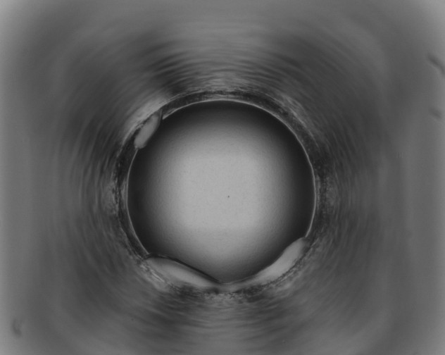 X0000091731018200708311157