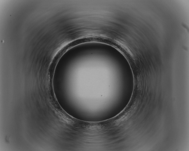 X0000091731021200708311157