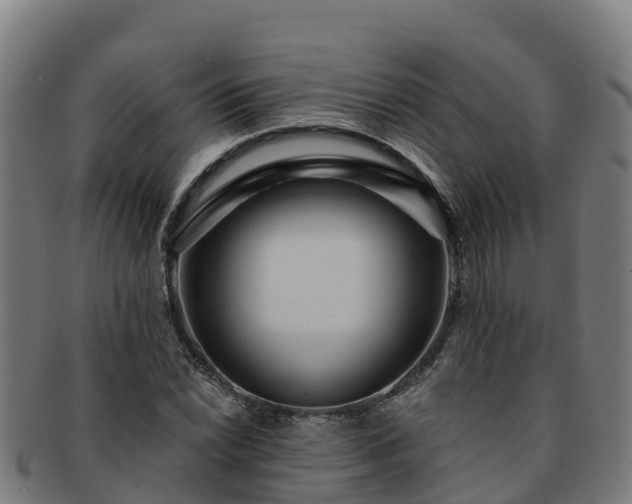 X0000091731022200708311157