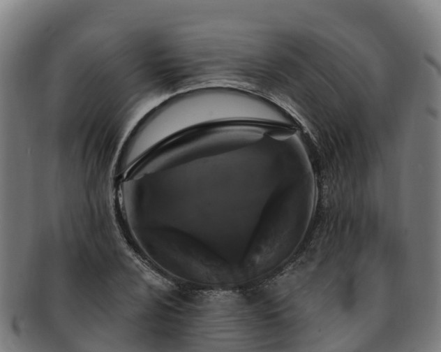 X0000091731024200708311157