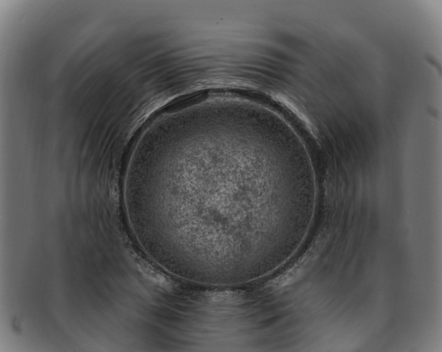 X0000091731025200708311157
